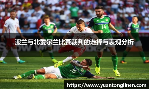 波兰与北爱尔兰比赛裁判的选择与表现分析
