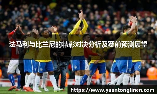 法马利与比兰尼的精彩对决分析及赛前预测展望