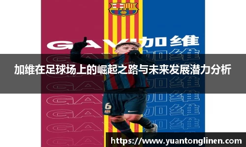 k1体育十年品牌官网